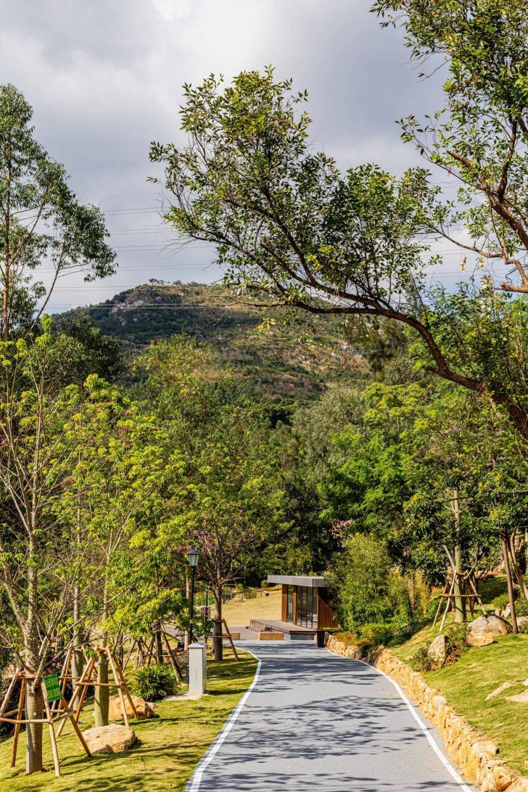 kaiyun体育综合-包含山林深度穿越赛，感受原生态的运动魅力的词条