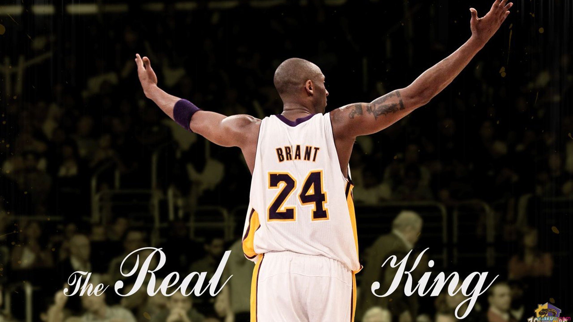 安赛龙横扫晋级，国羽男单陷入集体低迷，安赛龙男单冠军