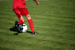 kaiyun开云·官方网站-中国篮球职业联赛俱乐部青训体系建设，全国篮球俱乐部青年联赛