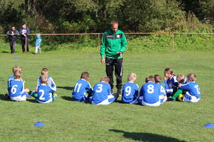 开云网站-中国足球战术模块组合搭配分析，国足战术风格