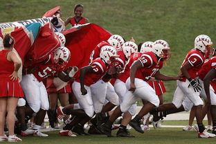 kaiyun网站-全国城际定向越野赛青少年组吸引众多参赛者，全国定向越野锦标赛